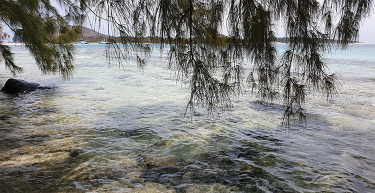 catamaran gabriel island cruise mauritius grand baie